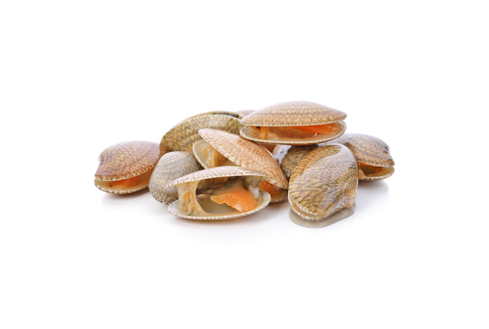 Baby Neck Clams, 1 kg