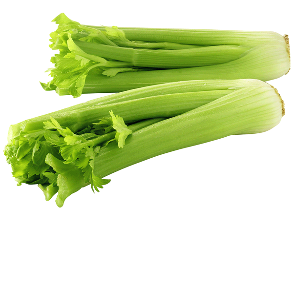 Premium Heart Celery 18 ct, 16 oz