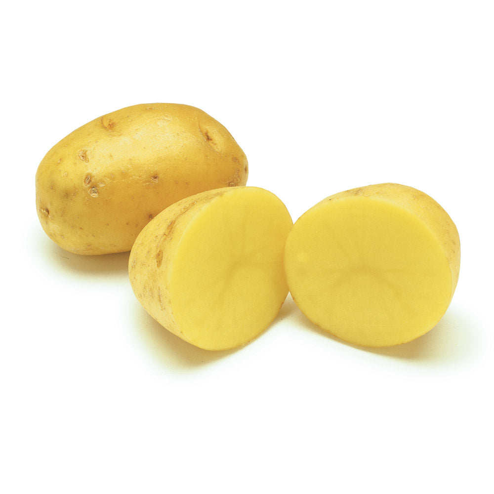 Yukon Gold Premium Potatoes, 5 lbs