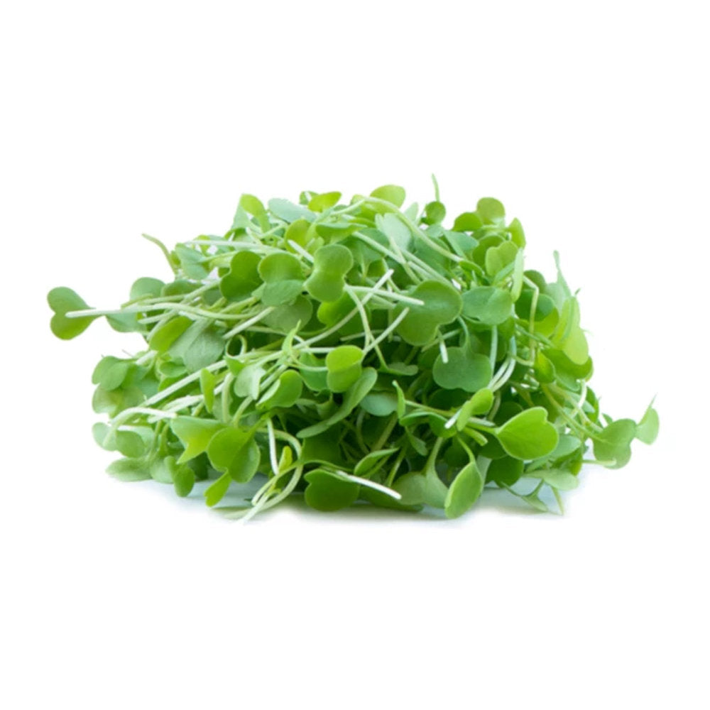 Organic Microgreens Premier Kale, 65 gr