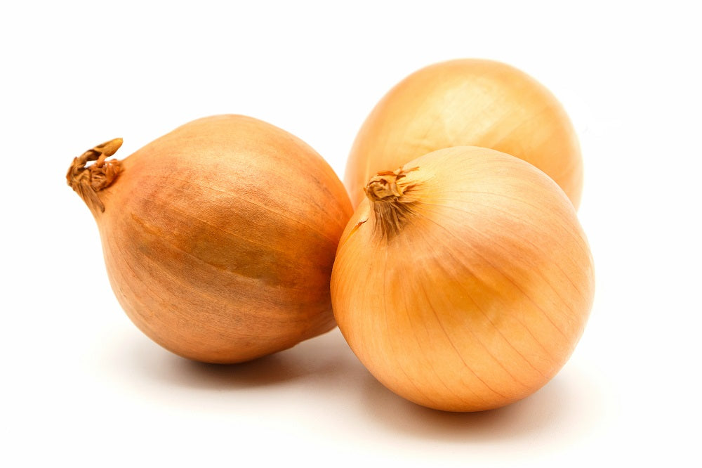 Yellow Onions NL, kg