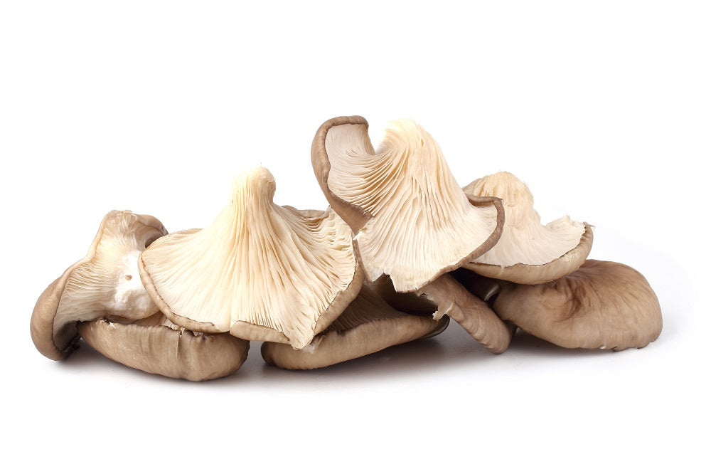 Organic Oyster Mushrooms, 150 gr