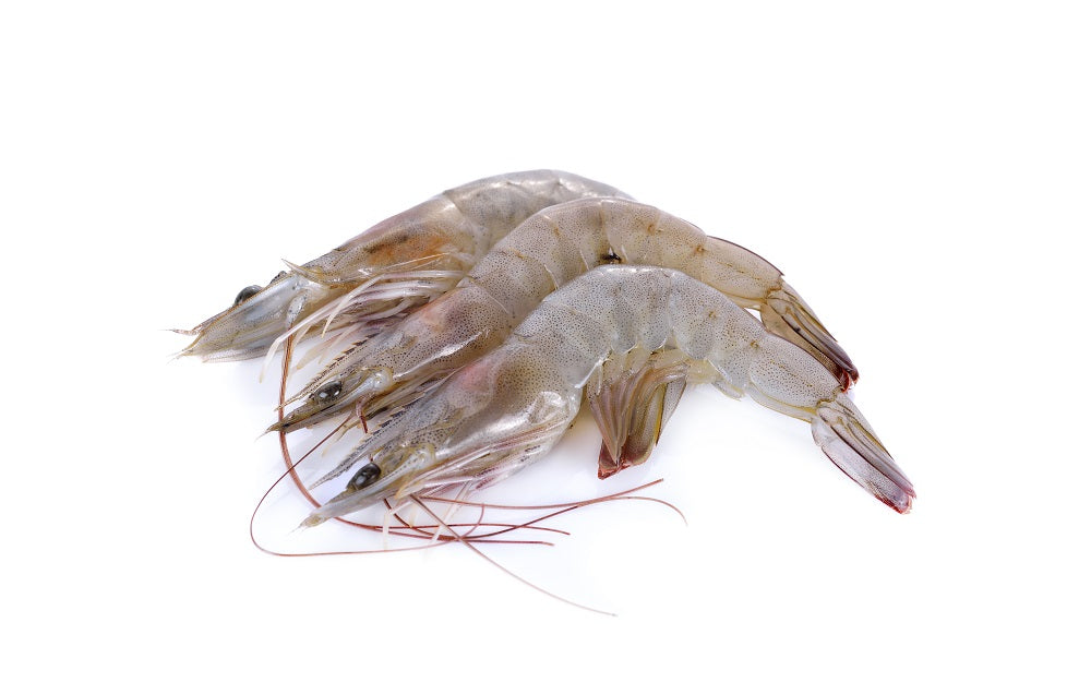 Vannamei Shrimps, PDTO 8/12, 10 x 1 kg