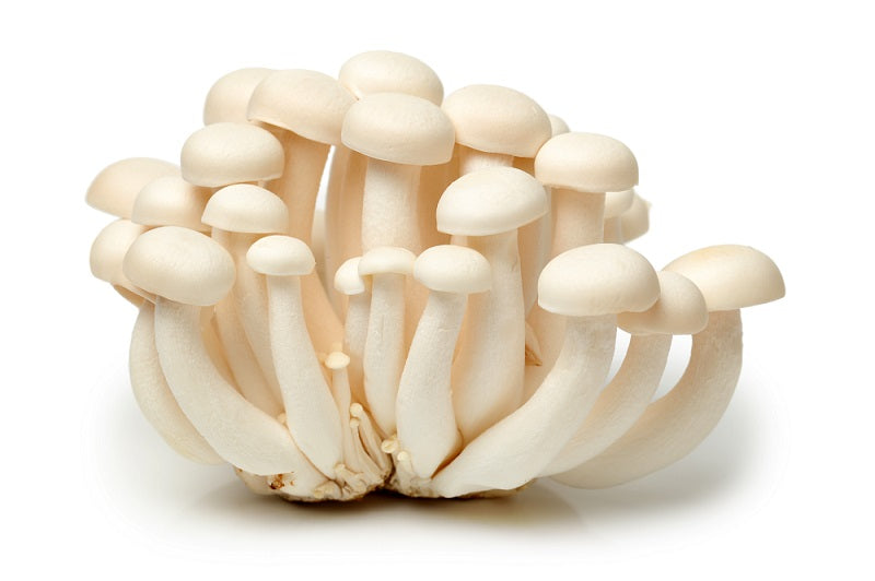 White Shimeji Beech Mushrooms, 150 gr