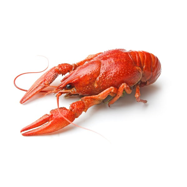 Whole and Cooked Ecrevisses (Craw Fish), 500 gr, 1 kg