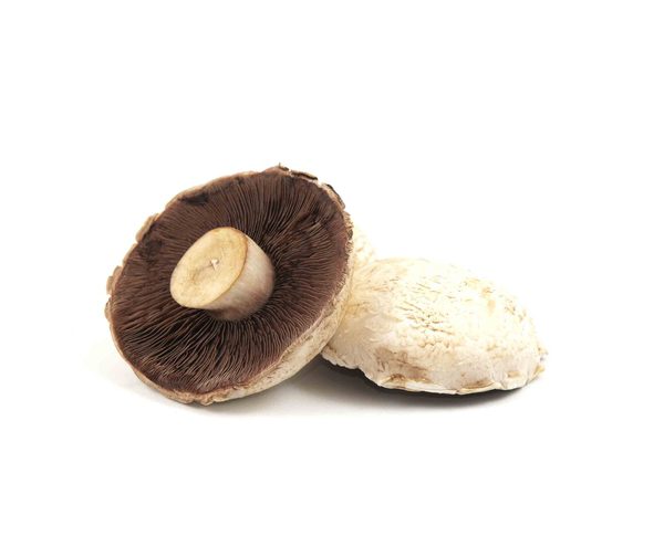 Giant Mushrooms (Reuze Champignons), kg-gr