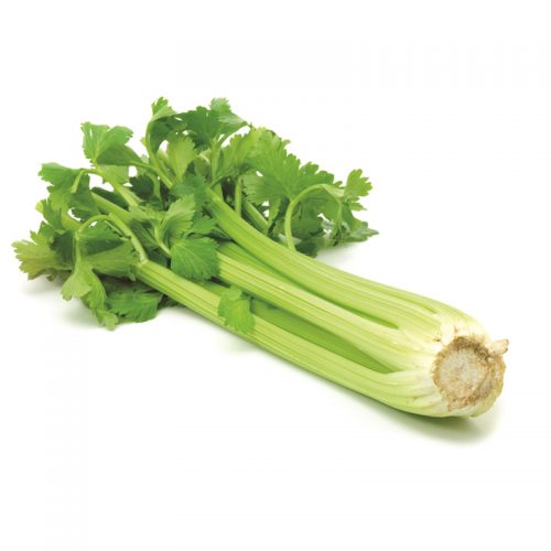 Celery Sleeved 30/36 ct