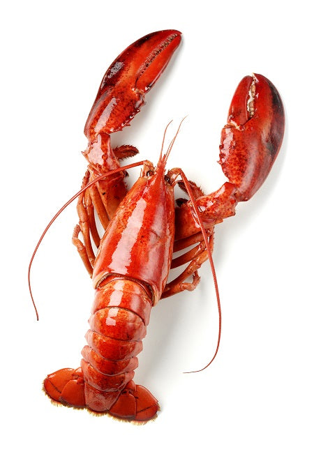 Lobster Whole USA, 450/600 gr, 1 kg