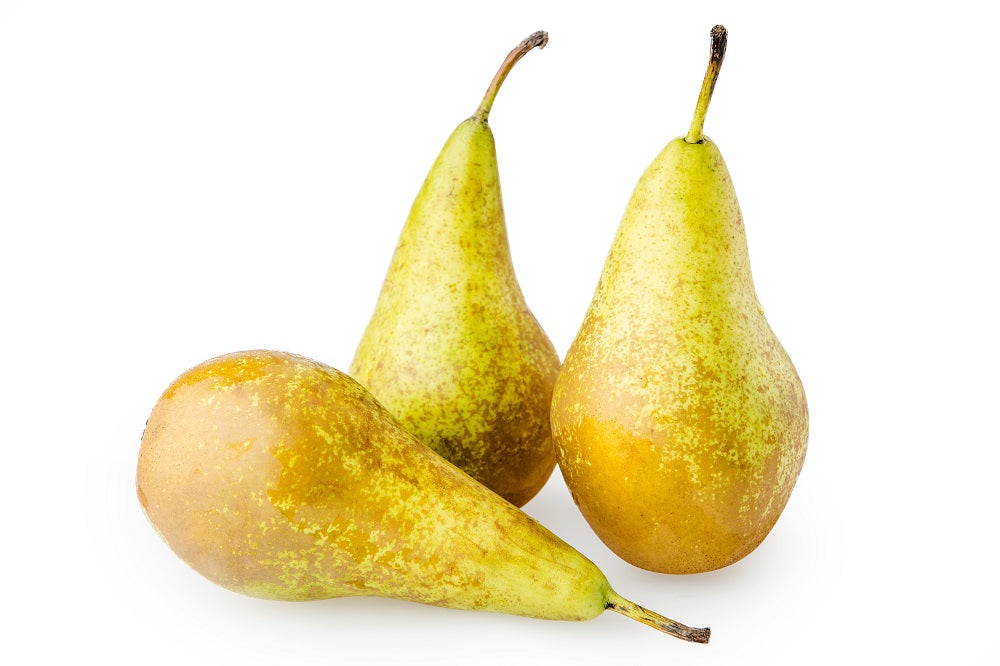 Pears Conference, kg