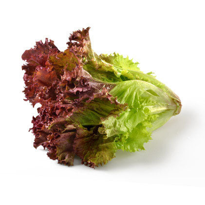 Lettuce Red Leaf Sleeved Premium 24 ct, pc